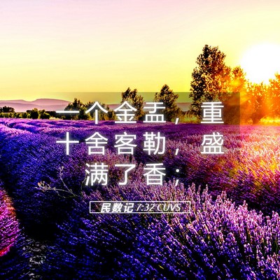 Picture 05 - 民 数 记 7:32 CUVS - 一 个 金 盂 ， 重 十 舍 客 勒 ， 盛 - Bible Verse Picture