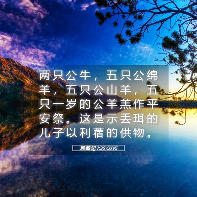 Picture 05 - 民 数 记 7:35 CUVS - 两 只 公 牛 ， 五 只 公 绵 羊 ， 五 - Bible Verse Picture