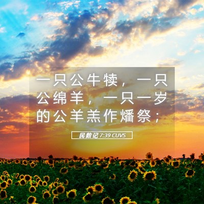 Picture 05 - 民 数 记 7:39 CUVS - 一 只 公 牛 犊 ， 一 只 公 绵 羊 ， - Bible Verse Picture