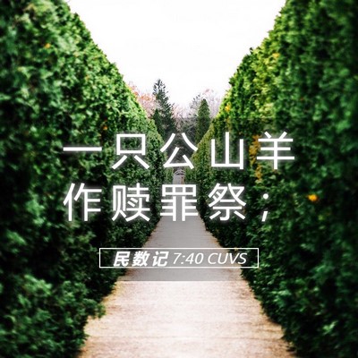 Picture 05 - 民 数 记 7:40 CUVS - 一 只 公 山 羊 作 赎 罪 祭 - Bible Verse Picture