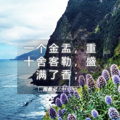 Picture 05 - 民 数 记 7:44 CUVS - 一 个 金 盂 ， 重 十 舍 客 勒 ， 盛 - Bible Verse Picture