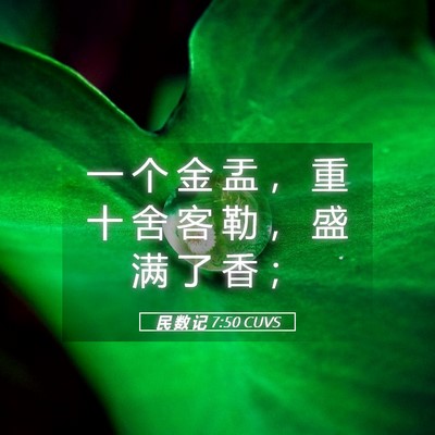 Picture 05 - 民 数 记 7:50 CUVS - 一 个 金 盂 ， 重 十 舍 客 勒 ， 盛 - Bible Verse Picture