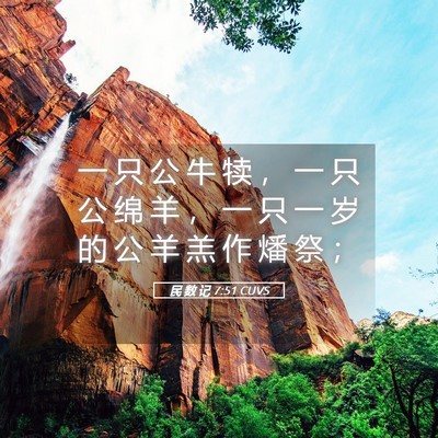 Picture 05 - 民 数 记 7:51 CUVS - 一 只 公 牛 犊 ， 一 只 公 绵 羊 ， - Bible Verse Picture