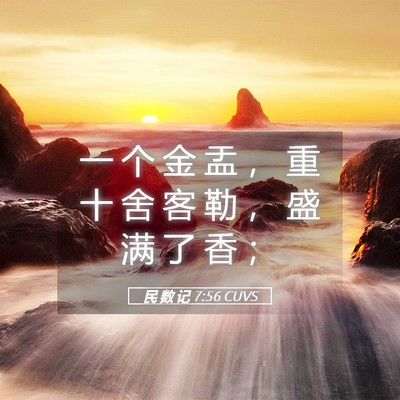 Picture 05 - 民 数 记 7:56 CUVS - 一 个 金 盂 ， 重 十 舍 客 勒 ， 盛 - Bible Verse Picture