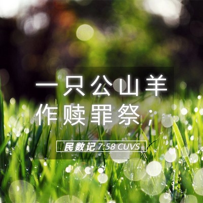 Picture 05 - 民 数 记 7:58 CUVS - 一 只 公 山 羊 作 赎 罪 祭 - Bible Verse Picture