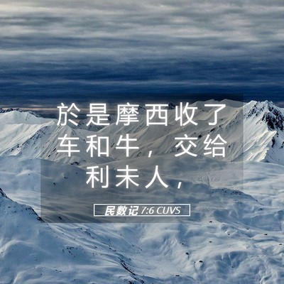 Picture 05 - 民 数 记 7:6 CUVS - 於 是 摩 西 收 了 车 和 牛 ， 交 给 - Bible Verse Picture