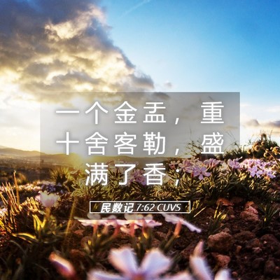 Picture 05 - 民 数 记 7:62 CUVS - 一 个 金 盂 ， 重 十 舍 客 勒 ， 盛 - Bible Verse Picture
