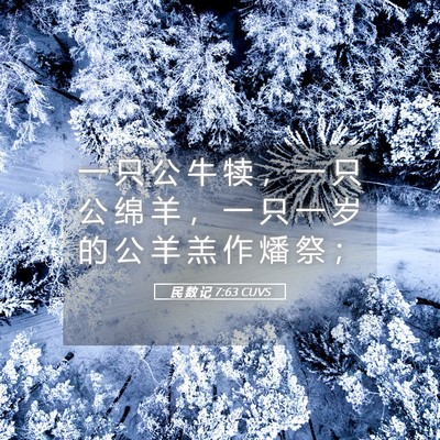 Picture 05 - 民 数 记 7:63 CUVS - 一 只 公 牛 犊 ， 一 只 公 绵 羊 ， - Bible Verse Picture