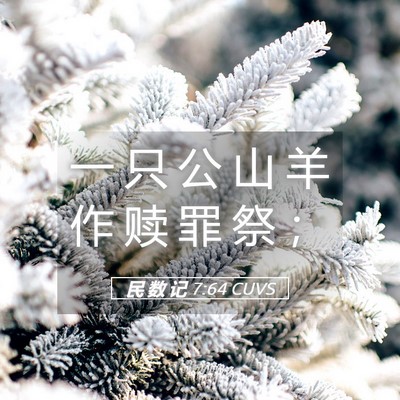 Picture 05 - 民 数 记 7:64 CUVS - 一 只 公 山 羊 作 赎 罪 祭 - Bible Verse Picture