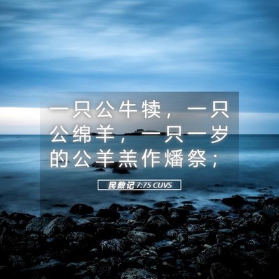Picture 05 - 民 数 记 7:75 CUVS - 一 只 公 牛 犊 ， 一 只 公 绵 羊 ， - Bible Verse Picture