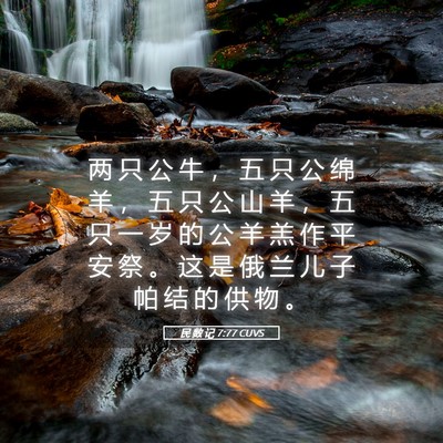 Picture 05 - 民 数 记 7:77 CUVS - 两 只 公 牛 ， 五 只 公 绵 羊 ， 五 - Bible Verse Picture