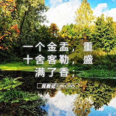 Picture 05 - 民 数 记 7:80 CUVS - 一 个 金 盂 ， 重 十 舍 客 勒 ， 盛 - Bible Verse Picture