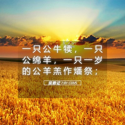 Picture 05 - 民 数 记 7:81 CUVS - 一 只 公 牛 犊 ， 一 只 公 绵 羊 ， - Bible Verse Picture