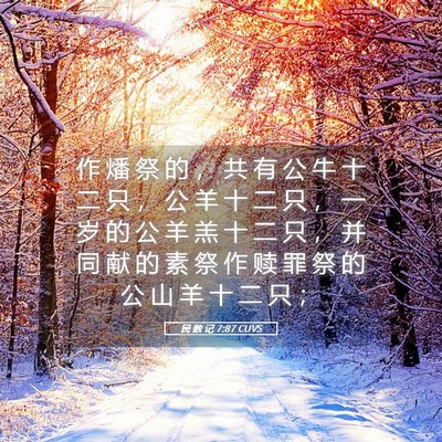 Picture 05 - 民 数 记 7:87 CUVS - 作 燔 祭 的 ， 共 有 公 牛 十 二 只 - Bible Verse Picture