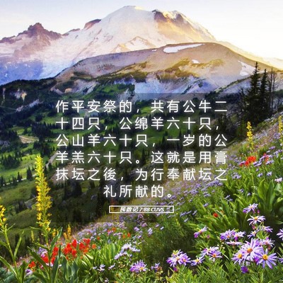 Picture 05 - 民 数 记 7:88 CUVS - 作 平 安 祭 的 ， 共 有 公 牛 二 十 - Bible Verse Picture
