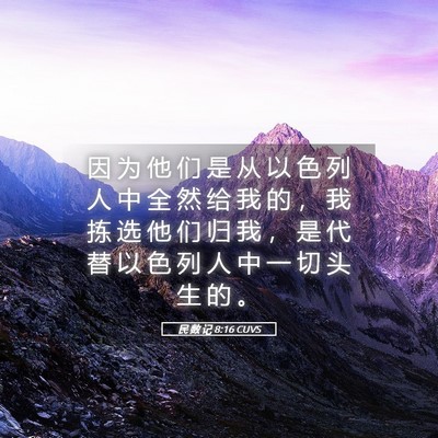 Picture 05 - 民 数 记 8:16 CUVS - 因 为 他 们 是 从 以 色 列 人 中 全 - Bible Verse Picture