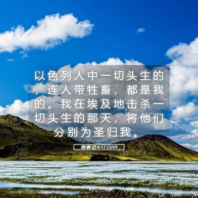 Picture 05 - 民 数 记 8:17 CUVS - 以 色 列 人 中 一 切 头 生 的 ， 连 - Bible Verse Picture