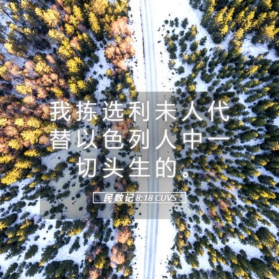 Picture 05 - 民 数 记 8:18 CUVS - 我 拣 选 利 未 人 代 替 以 色 列 人 - Bible Verse Picture