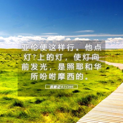 Picture 05 - 民 数 记 8:3 CUVS - 亚 伦 便 这 样 行 。 他 点 灯 ? 上 的 - Bible Verse Picture
