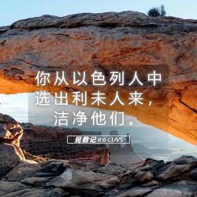 Picture 05 - 民 数 记 8:6 CUVS - 你 从 以 色 列 人 中 选 出 利 未 人 - Bible Verse Picture