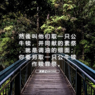 Picture 05 - 民 数 记 8:8 CUVS - 然 後 叫 他 们 取 一 只 公 牛 犊 ， - Bible Verse Picture