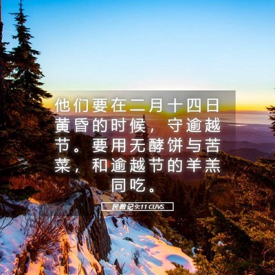 Picture 05 - 民 数 记 9:11 CUVS - 他 们 要 在 二 月 十 四 日 黄 昏 的 - Bible Verse Picture