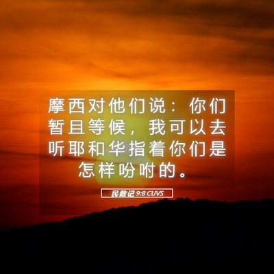 Picture 05 - 民 数 记 9:8 CUVS - 摩 西 对 他 们 说 ： 你 们 暂 且 等 - Bible Verse Picture