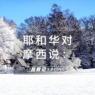 Picture 05 - 民 数 记 9:9 CUVS - 耶 和 华 对 摩 西 说 - Bible Verse Picture