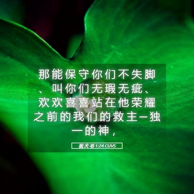 Picture 05 - 犹 大 书 1:24 CUVS - 那 能 保 守 你 们 不 失 脚 、 叫 你 - Bible Verse Picture