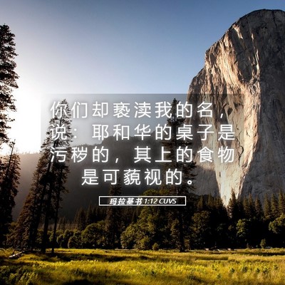 Picture 05 - 玛 拉 基 书 1:12 CUVS - 你 们 却 亵 渎 我 的 名 ， 说 ： 耶 - Bible Verse Picture