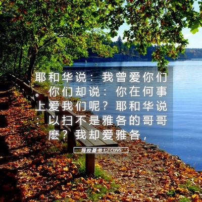 Picture 05 - 玛 拉 基 书 1:2 CUVS - 耶 和 华 说 ： 我 曾 爱 你 们 。 你 - Bible Verse Picture