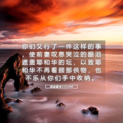 Picture 05 - 玛 拉 基 书 2:13 CUVS - 你 们 又 行 了 一 件 这 样 的 事 ， - Bible Verse Picture