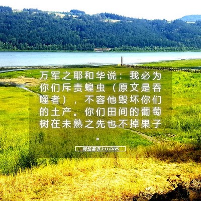 Picture 05 - 玛 拉 基 书 3:11 CUVS - 万 军 之 耶 和 华 说 ： 我 必 为 你 - Bible Verse Picture