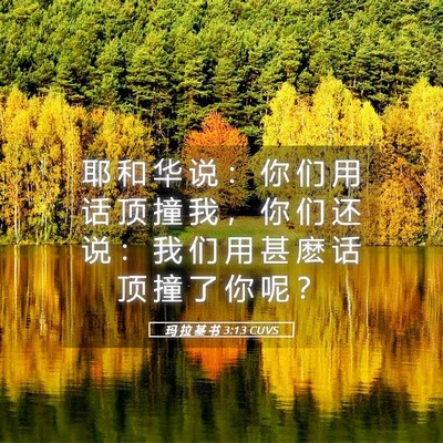 Picture 05 - 玛 拉 基 书 3:13 CUVS - 耶 和 华 说 ： 你 们 用 话 顶 撞 我 - Bible Verse Picture