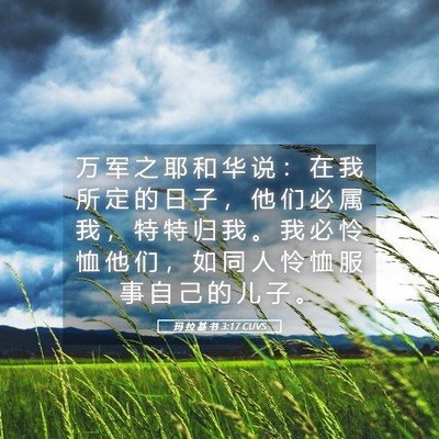 Picture 05 - 玛 拉 基 书 3:17 CUVS - 万 军 之 耶 和 华 说 ： 在 我 所 定 - Bible Verse Picture
