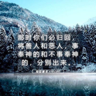 Picture 05 - 玛 拉 基 书 3:18 CUVS - 那 时 你 们 必 归 回 ， 将 善 人 和 - Bible Verse Picture