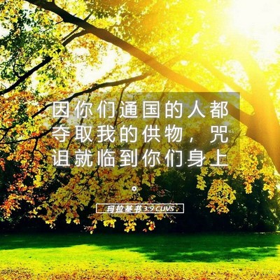 Picture 05 - 玛 拉 基 书 3:9 CUVS - 因 你 们 通 国 的 人 都 夺 取 我 的 - Bible Verse Picture