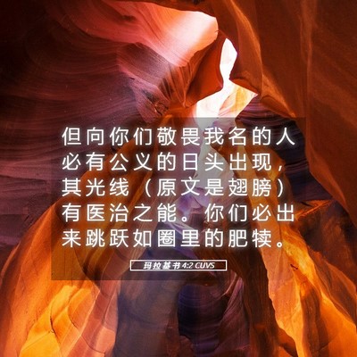 Picture 05 - 玛 拉 基 书 4:2 CUVS - 但 向 你 们 敬 畏 我 名 的 人 必 有 - Bible Verse Picture