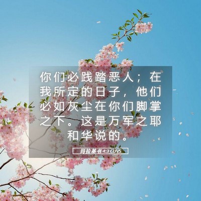 Picture 05 - 玛 拉 基 书 4:3 CUVS - 你 们 必 践 踏 恶 人 ； 在 我 所 定 - Bible Verse Picture