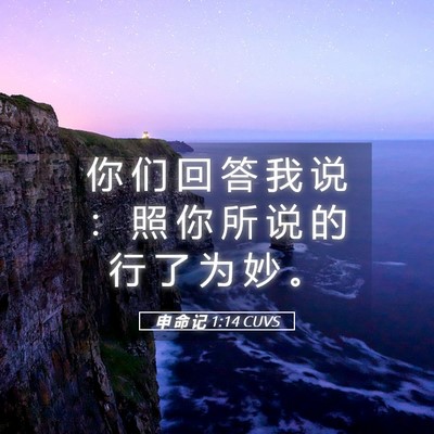 Picture 05 - 申 命 记 1:14 CUVS - 你 们 回 答 我 说 ： 照 你 所 说 的 - Bible Verse Picture