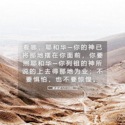 Picture 05 - 申 命 记 1:21 CUVS - 看 哪 ， 耶 和 华 ─ 你 的 神 已 将 - Bible Verse Picture