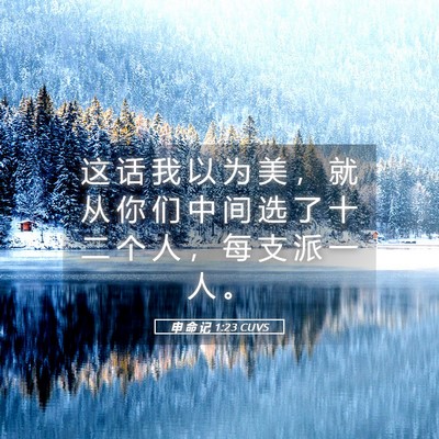 Picture 05 - 申 命 记 1:23 CUVS - 这 话 我 以 为 美 ， 就 从 你 们 中 - Bible Verse Picture