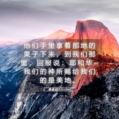Picture 05 - 申 命 记 1:25 CUVS - 他 们 手 里 拿 着 那 地 的 果 子 下 - Bible Verse Picture