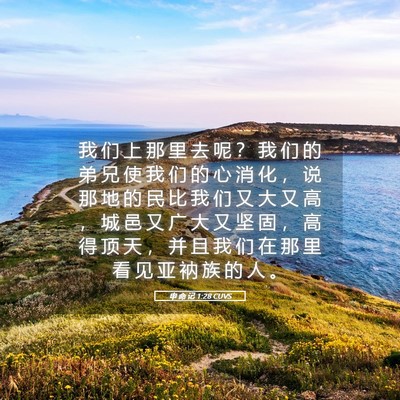 Picture 05 - 申 命 记 1:28 CUVS - 我 们 上 那 里 去 呢 ？ 我 们 的 弟 - Bible Verse Picture