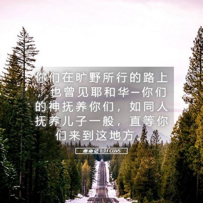 Picture 05 - 申 命 记 1:31 CUVS - 你 们 在 旷 野 所 行 的 路 上 ， 也 - Bible Verse Picture
