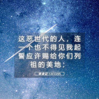 Picture 05 - 申 命 记 1:35 CUVS - 这 恶 世 代 的 人 ， 连 一 个 也 不 - Bible Verse Picture