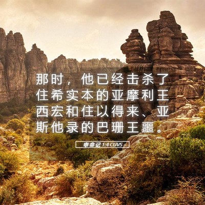Picture 05 - 申 命 记 1:4 CUVS - 那 时 ， 他 已 经 击 杀 了 住 希 实 - Bible Verse Picture