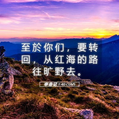 Picture 05 - 申 命 记 1:40 CUVS - 至 於 你 们 ， 要 转 回 ， 从 红 海 - Bible Verse Picture
