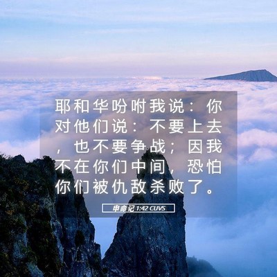 Picture 05 - 申 命 记 1:42 CUVS - 耶 和 华 吩 咐 我 说 ： 你 对 他 们 - Bible Verse Picture