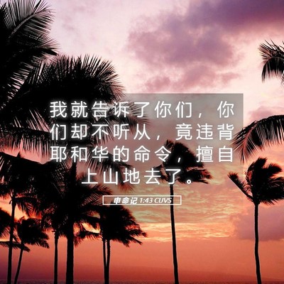 Picture 05 - 申 命 记 1:43 CUVS - 我 就 告 诉 了 你 们 ， 你 们 却 不 - Bible Verse Picture